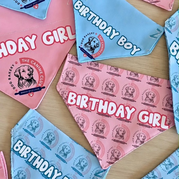 Birthday boy and birthday girl bandanas