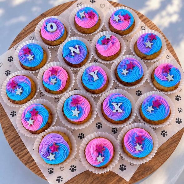 Galaxy mini pupcakes, the dog's name spelled across the tops