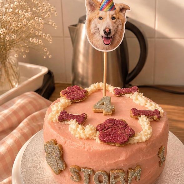 A pink birthday cake for Storm, with paws, bones and a 4